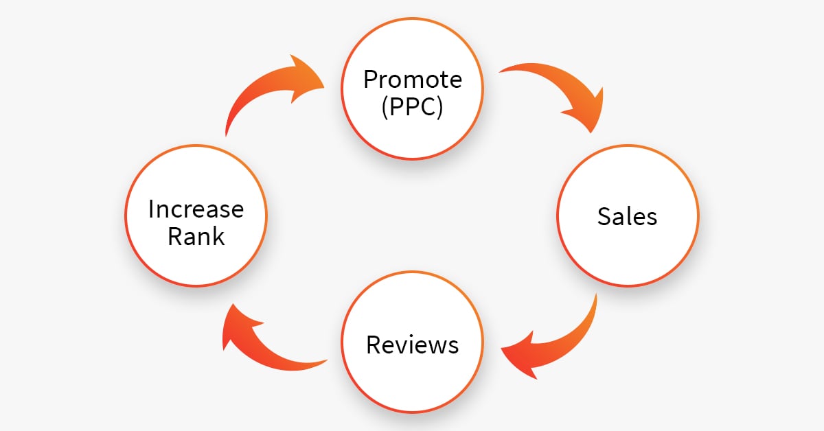 Process Product launch