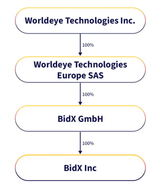 BidX Organigram